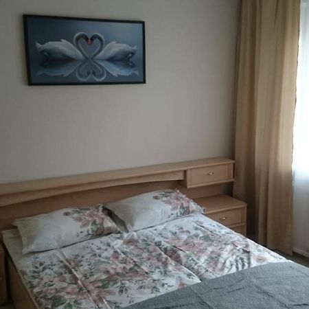 Cosy Appartment In Great Location Kowno Zewnętrze zdjęcie