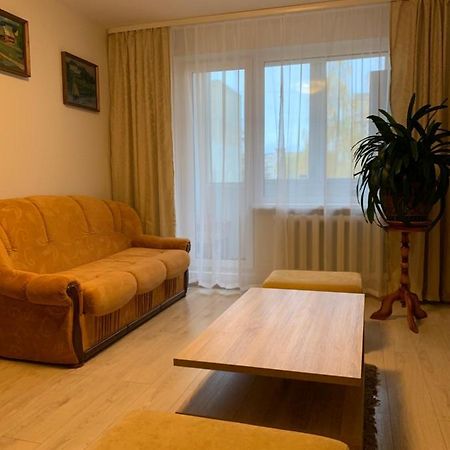 Cosy Appartment In Great Location Kowno Zewnętrze zdjęcie