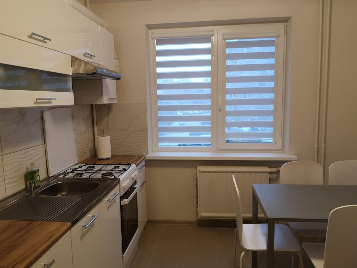 Cosy Appartment In Great Location Kowno Zewnętrze zdjęcie