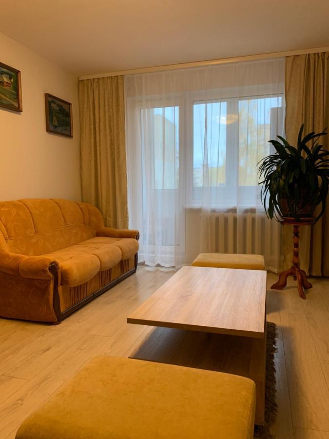 Cosy Appartment In Great Location Kowno Zewnętrze zdjęcie